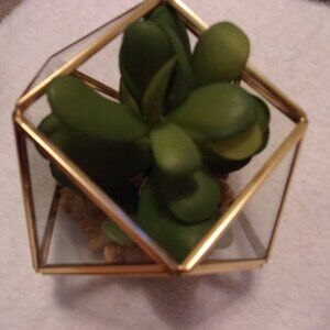 5" x 4" Artificial Succulent Plant with Brass Terrarium - Opalhouse